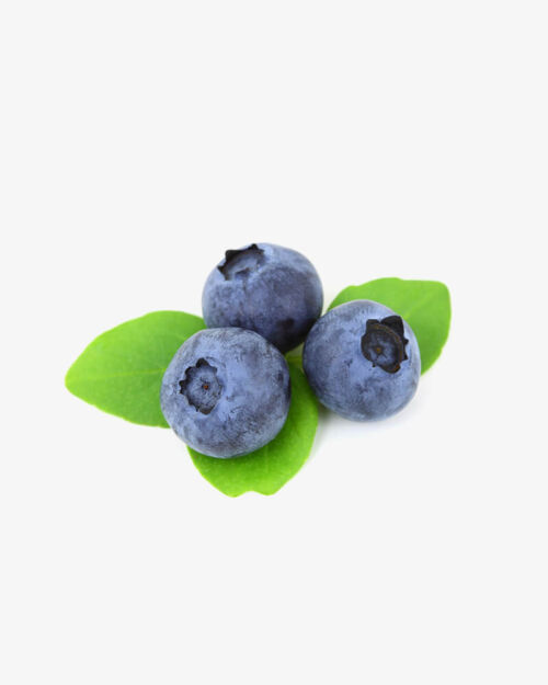 Ripe Blueberry (Demo)