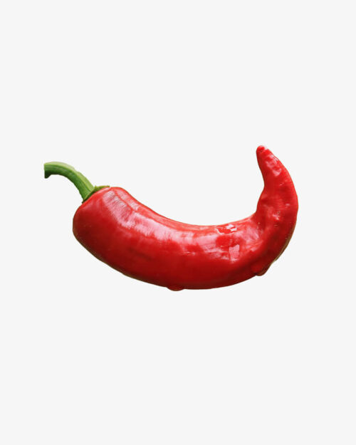 Red Chili (Demo)